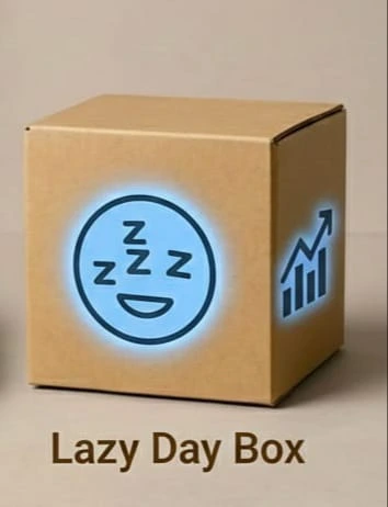 Lazy day box